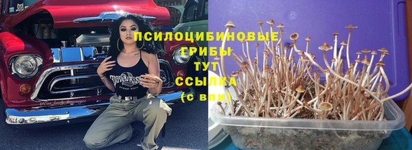 бошки Волоколамск