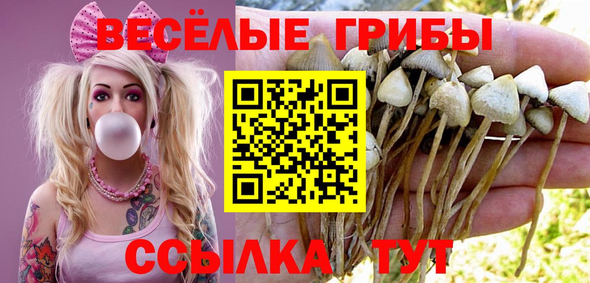 закладки  Вход с VPN  Мариинск  Галлюциногенные грибы Psilocybe 
